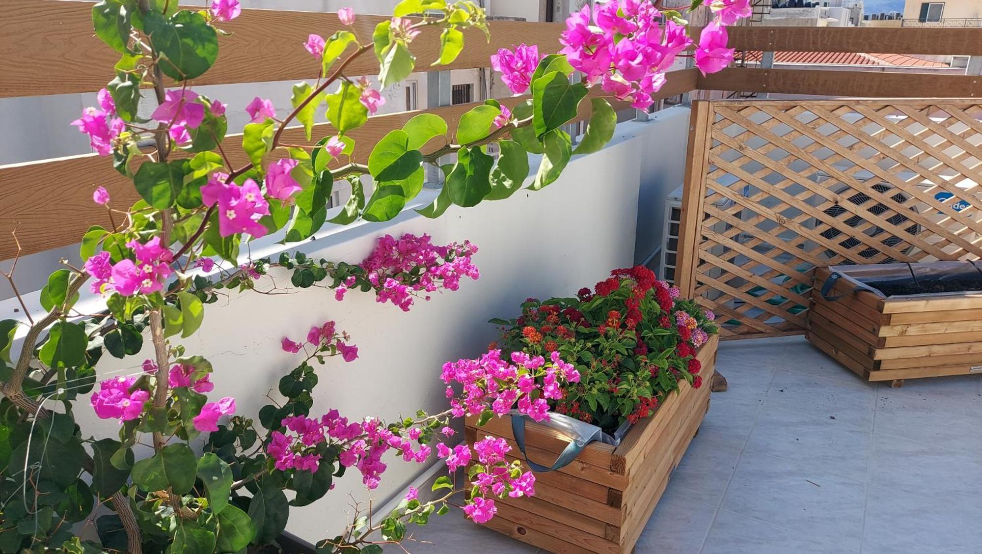The Blue Apartment In The Heart Of Heraklion Bagian luar foto